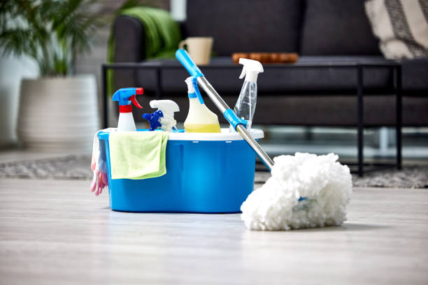 affordable and professional cleaning services in London