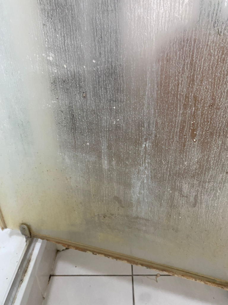Remove Black Mould London Homes