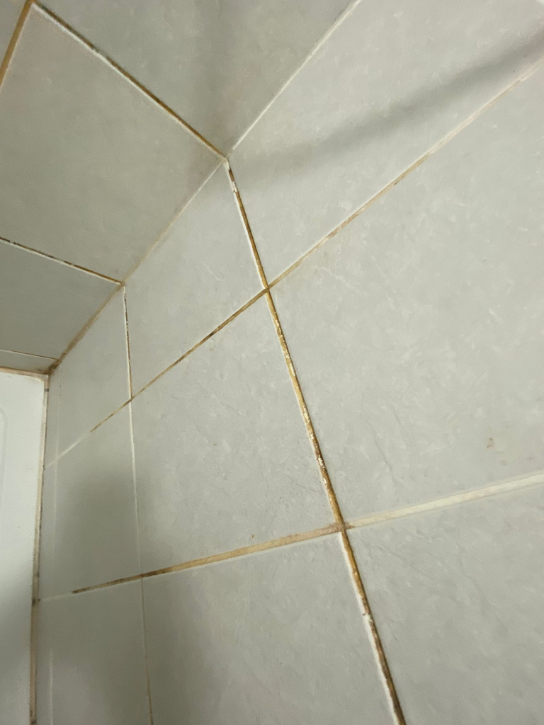 Remove Black Mould London Homes