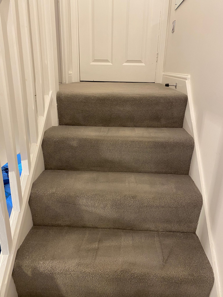 Industrial Carpet Cleaner