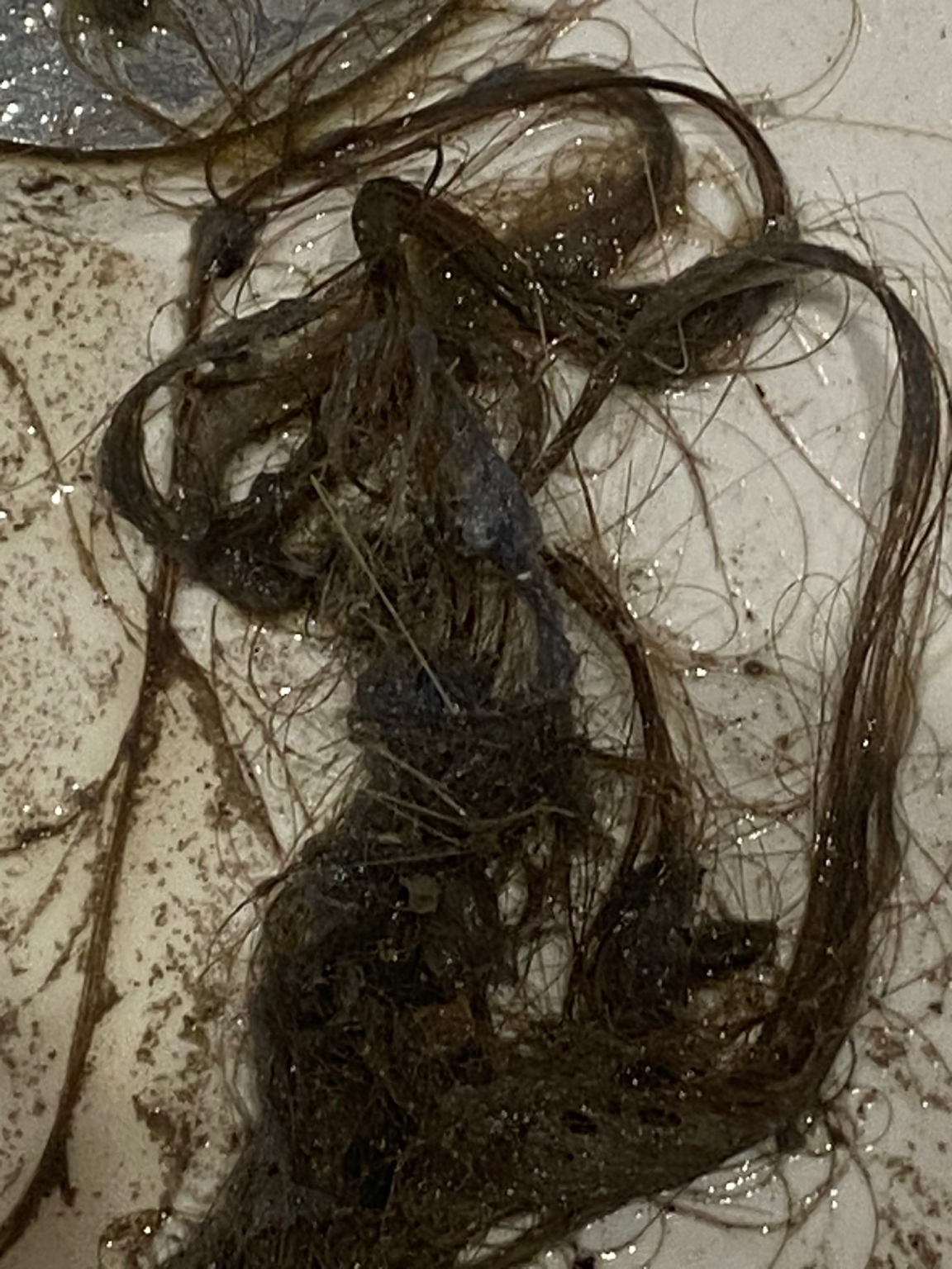 How to Get Rid of Remove Black Mould London Homes Complete 2026 Guide