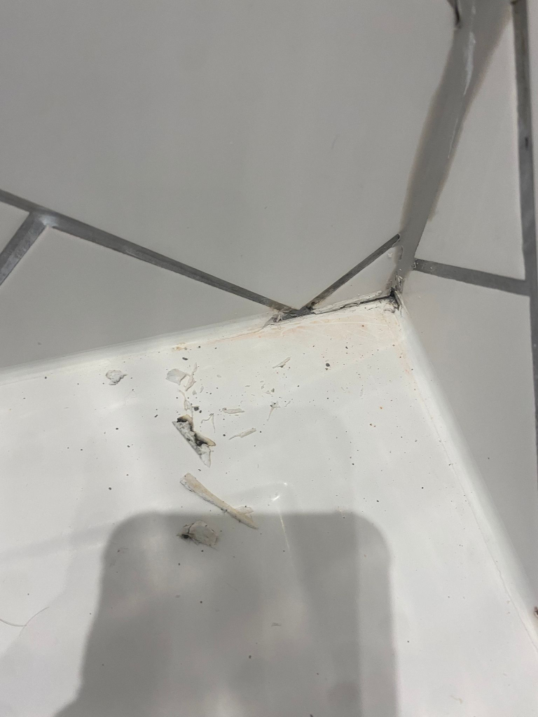 Remove Black Mould London Homes