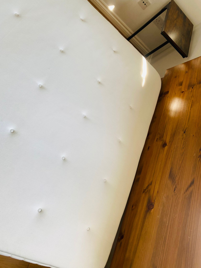 professional carpet cleaning service