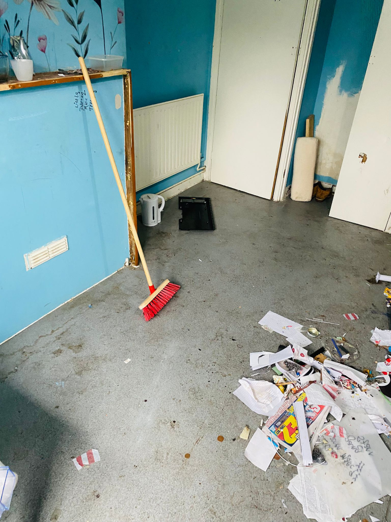 deep cleaning vs regular cleaning