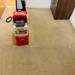 Professional Carpet Cleaning London