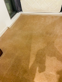 How to Clean Carpet