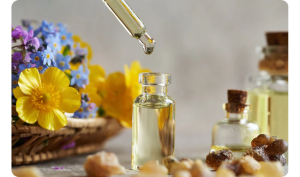 Eco Friendly Cleaning Products