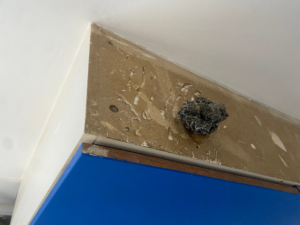End of Tenancy Cleaning Checklist London