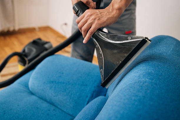 sofa cleaning searves