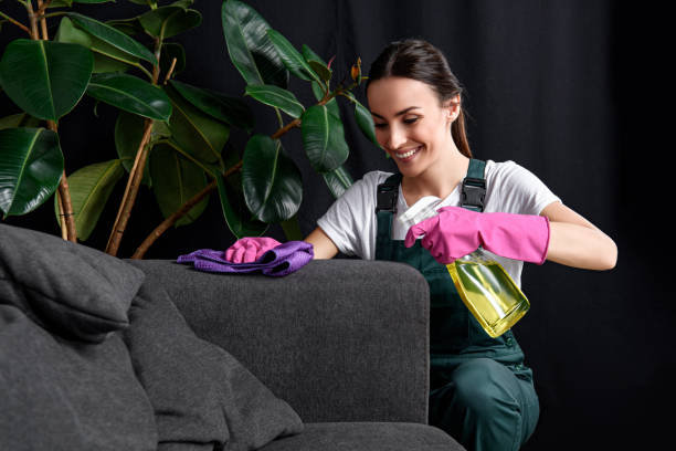 Sofa Cleaning Services