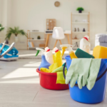 Professional Deep Clean