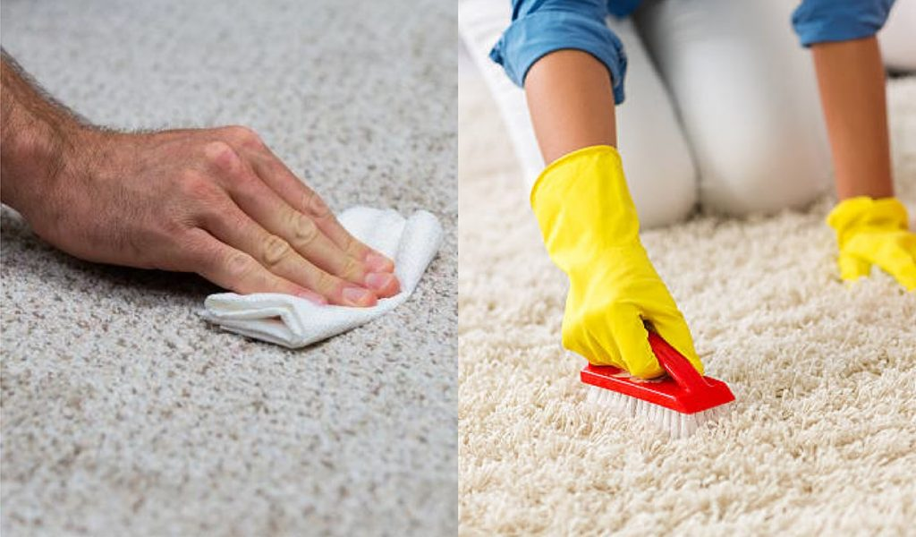How to Clean Old Stained Carpet