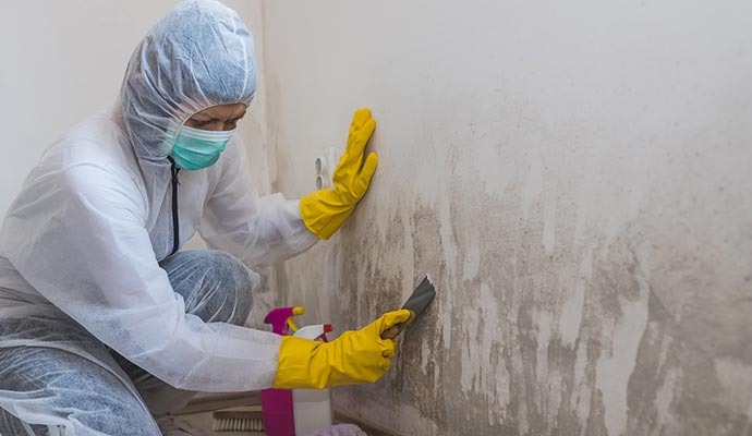 Black Mold & Tile Grout Remediation
